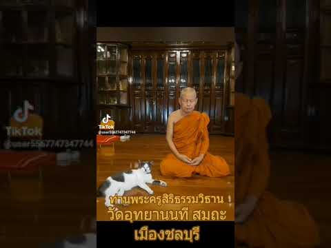 ผลสลากกินแบ่งรัฐบาล วันที่ 1 พย. 2567 ผลสลากกินแบ่งรัฐบาล วันที่ 1 พย. 2567
