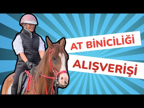 AT BİNİCİLİĞİ ALIŞVERİŞİ VE BİNİCİLİK DERSLERİ VLOG