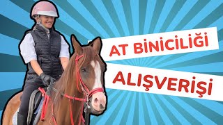 AT BİNİCİLİĞİ ALIŞVERİŞİ VE BİNİCİLİK DERSLERİ VLOG