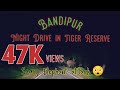 Wild Animals Attack Bandipur || Night Drive in Bandipur || Elephants Bison on Road || 6 Sep'2019 ||