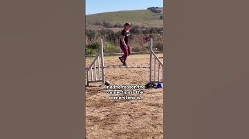 Learn more about connection in our free 30-min webinars #oneminddogs #agilitytraining #dogagility