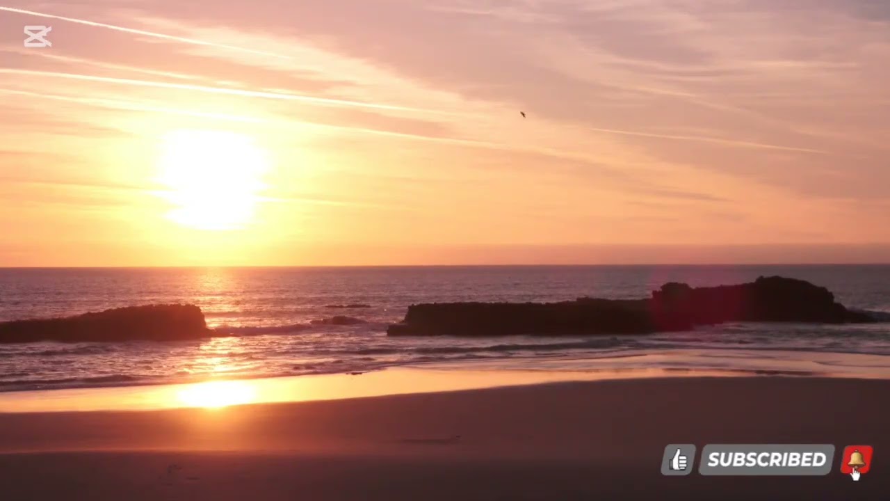 المجيب الذي لا يردك خائبا ابدا 🎧🕊️