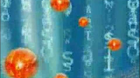 No. 13 - TAKA RESPECT FOR J.S.B.