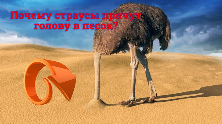 Почему напуганные СТРАУСЫ прячут ГОЛОВУ В ПЕСОК?