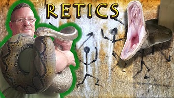 🐍 Gaat u een netpython kopen?