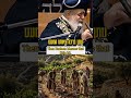 Rabbi Ovadia Yosef Ztl-is It Necessary to Work a Lot Just to Make Ends Meet?