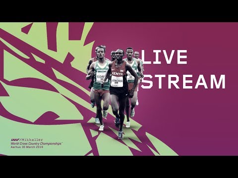 IAAF WORLD CROSS COUNTRY CHAMPIONSHIPS AARHUS 2019 Livestream