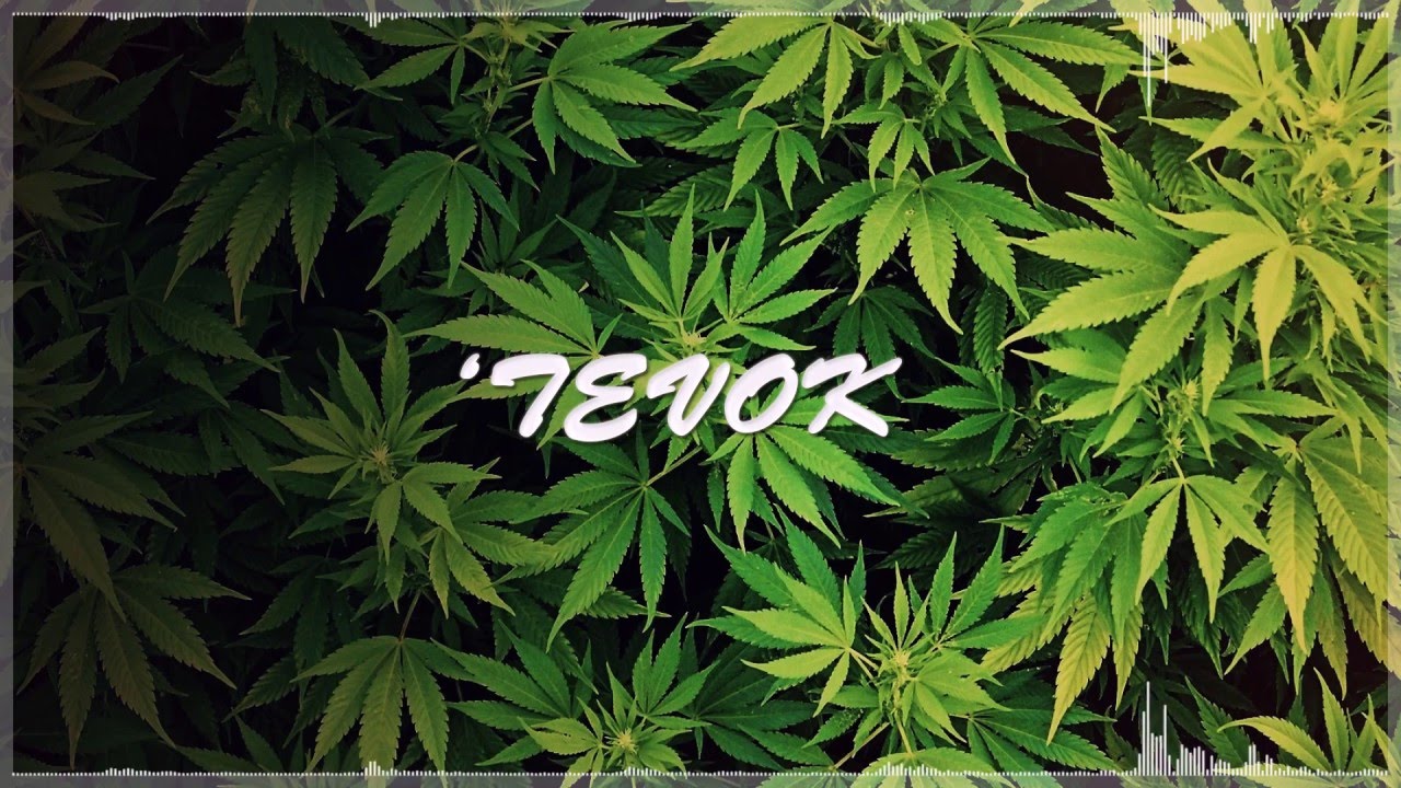 Simtem - Make Em High [Bass Boosted]