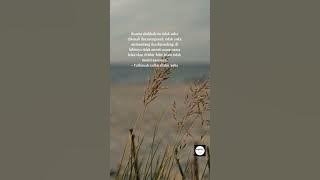 quotes islami ~ Wanita shalihah itu ... #shorts #nasihatdirichannel #motivasi #quotes #storywa