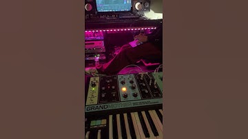 Lead Sounds With Moog Grandmother