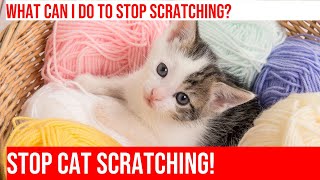 Stop Your Cat from Scratching Furniture: Tips & Tricks!