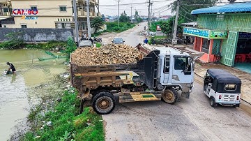 AMAZING! 5T Trucks Unloading SoilRock Filling up by Skillful Driver & Pushing clear by Dozer KOMATSU