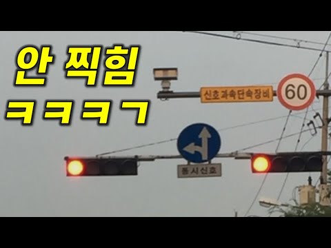   신호위반 이 영상 보시면 이제 안걸립니다 낚시X