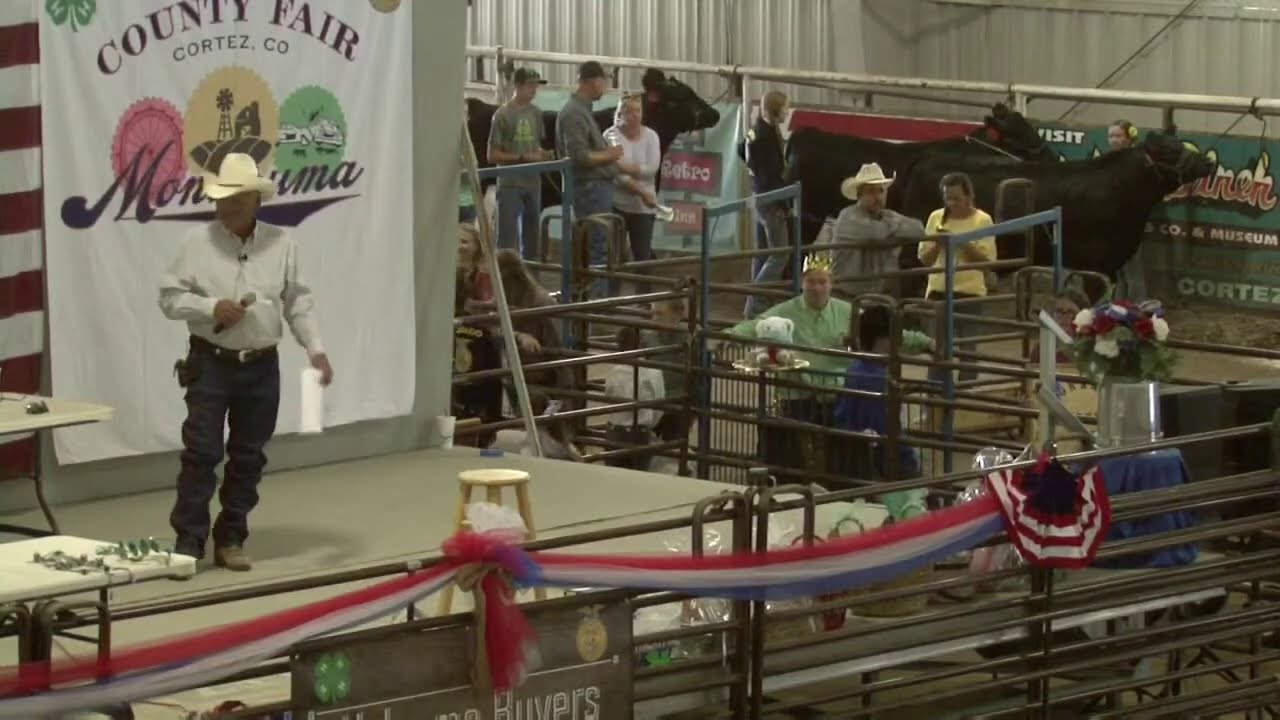 Montezuma County Fair 4H Auction YouTube
