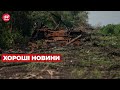 🔥🔥 ПЕНТАГОН: РФ втратила 80 чи 90 тисяч солдатів