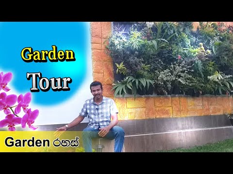sri-lanka-garden-tour-රවුමක්-යමුද-ගෙවත්තේ-සුන්දරත්වය-බලන්න​-by-kelum-randima