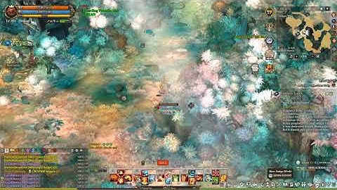 Goddess Treaty | Tree Of Savior