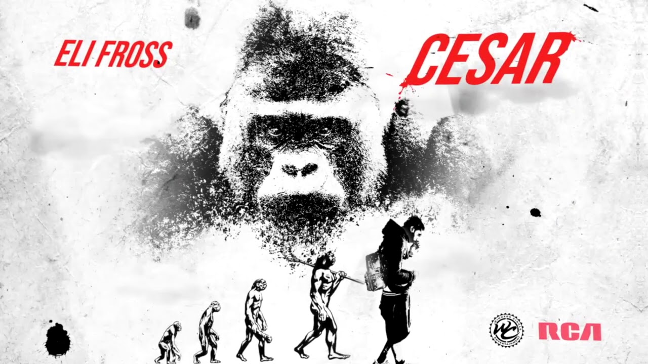 Watch Eli Fross - Voodoo (Visualizer) on YouTube
