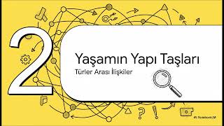 Ekosistemde Madde Ve Enerji Akışı