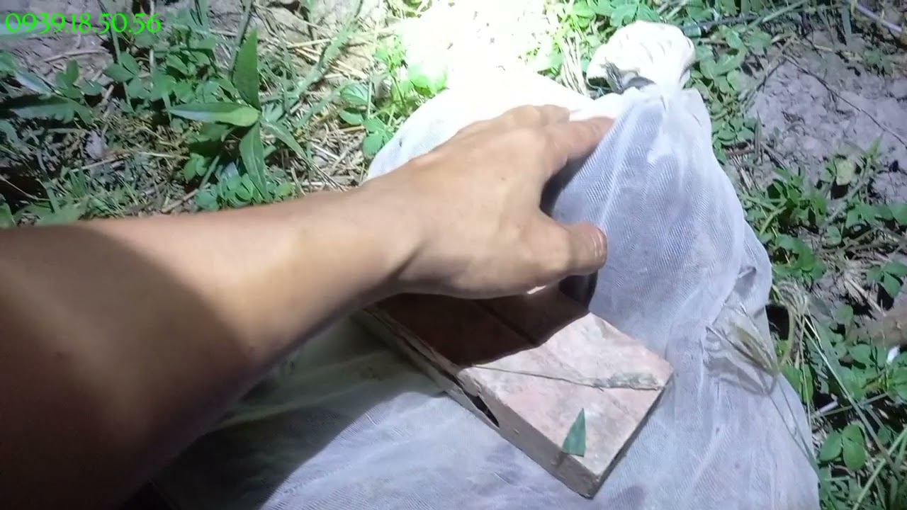 Dùng cách đánh bắt quốc đêm độc lạ ít người dùng nhưng lại rất hiệu quả 😅😅😅