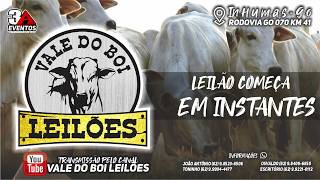 VALE DO BOI LEILOES - INHUMAS - LEILAO  VIRTUAL E PRESENCIAL  - 15 DE MAIO 2026