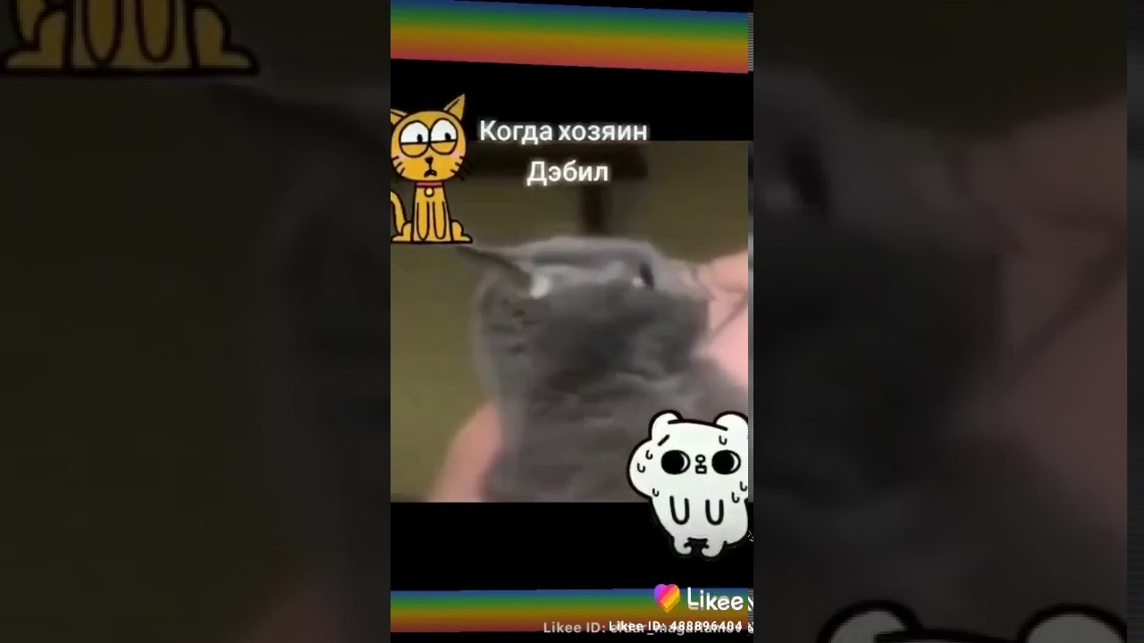 Смешное видео про ладу