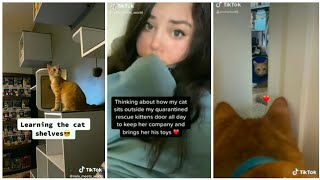 Collection of Tiktok compilation from @Nala meets world🌍