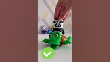 What do you want me to put on top of the turtle next? #turtle #coaster #turtlecoaster #thingstodo