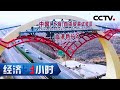 一份证明带来的福祉 一年成本省百万！ 「经济半小时」 20201117 | CCTV财经