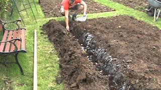 How To Plant Potatoes
