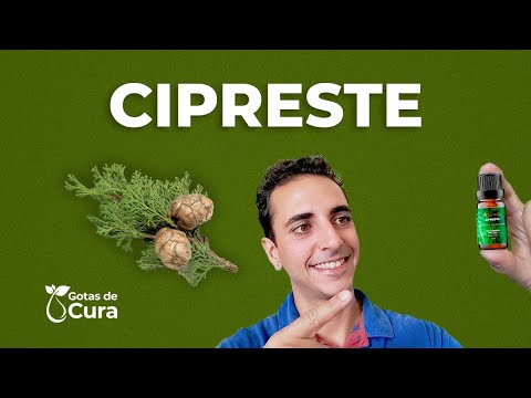 ÓLEO ESSENCIAL DE CIPRESTE (TRISTEZA, ANSIEDADE, VARIZES, CELULITE)