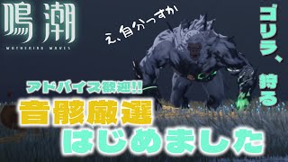 【#鳴潮】データドッグ15いったから厳選はじめたい！！