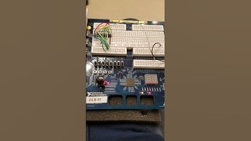 Majority Vote activity 2.1.6