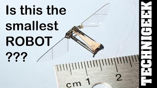 Smallest robot created till now 2018 أصغر روبوت اخترعه الانسان