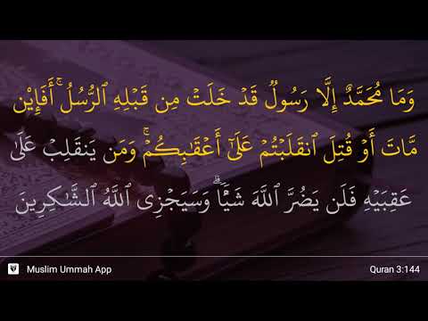 Al-'Imran ayat 144