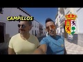 TANA POR EL MUNDO CAMPILLOS