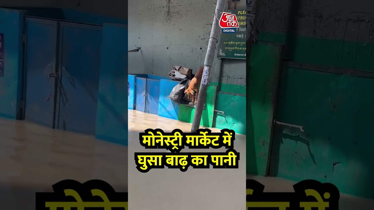 Delhi Flood: मोनेस्ट्री मार्केट में घुसा बाढ़ का पानी #shorts #shortsvideo #delhiflood