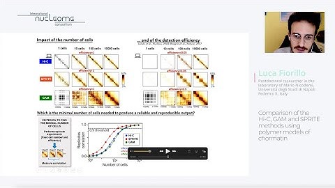 Luca Fiorillo & Francesco Musella “Comparison of the Hi-C, GAM and SPRITE methods using...“ - INC