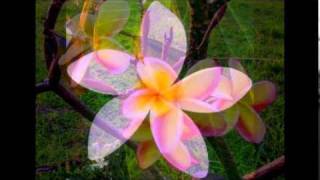 Video thumbnail of "soso mai TAKANOA"