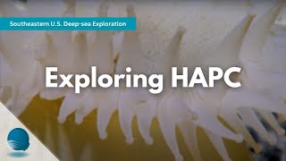 Southeastern U.S. Deep-Sea Exploration: Exploring HAPC