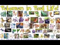 Pokémon IRL~ All Generation 1 Pokémon in Real Life!