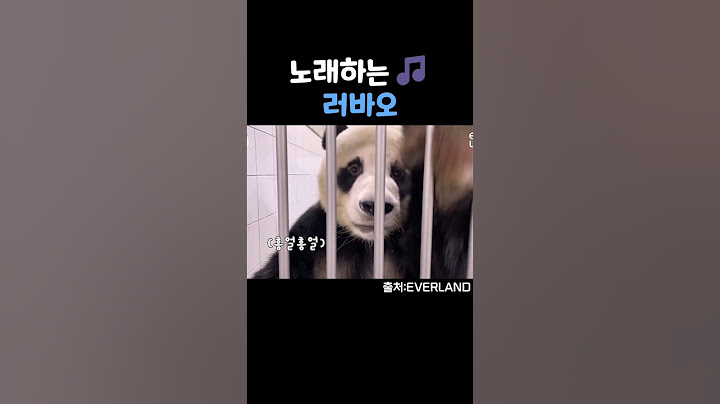 노래하는 러바오 (송바오 가지마!!)