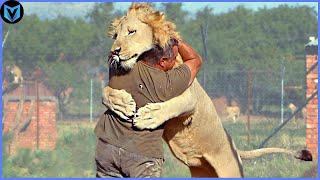 Animals Reunited With Owners After Years!