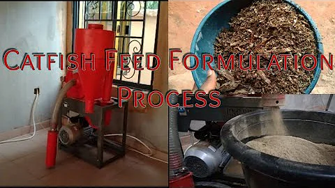 Process Of Making A Locally Formulated Floating Fish Feed / Cheap CatFish Feed Formulation