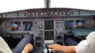 Landing in a very rainy Frankfurt FRA - Cockpit View Airbus A320 #plane #cockpitview #frankfurt