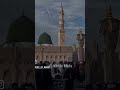 #madina #naat #faslonkotakalluf ❤️‍🩹