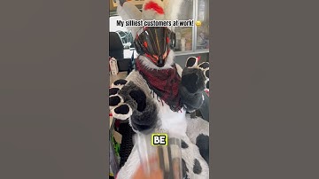 My silliest customers at Fizzy Fox! #protogen #furry #fursuit