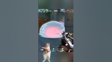 Average Jett mains when they panic smoke😂 #valorant #jett #gamergirl #fun #valorantmemes