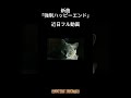 【新曲予告】強制ハッピーエンド / TEAPOT #originalsong #オリジナル曲
