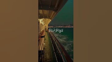 أكتب شيء تؤجر عليه 🤍 [تلاوة خاشعة]